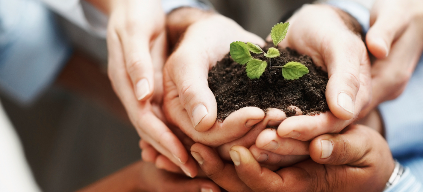 Informacion Dian ESAL